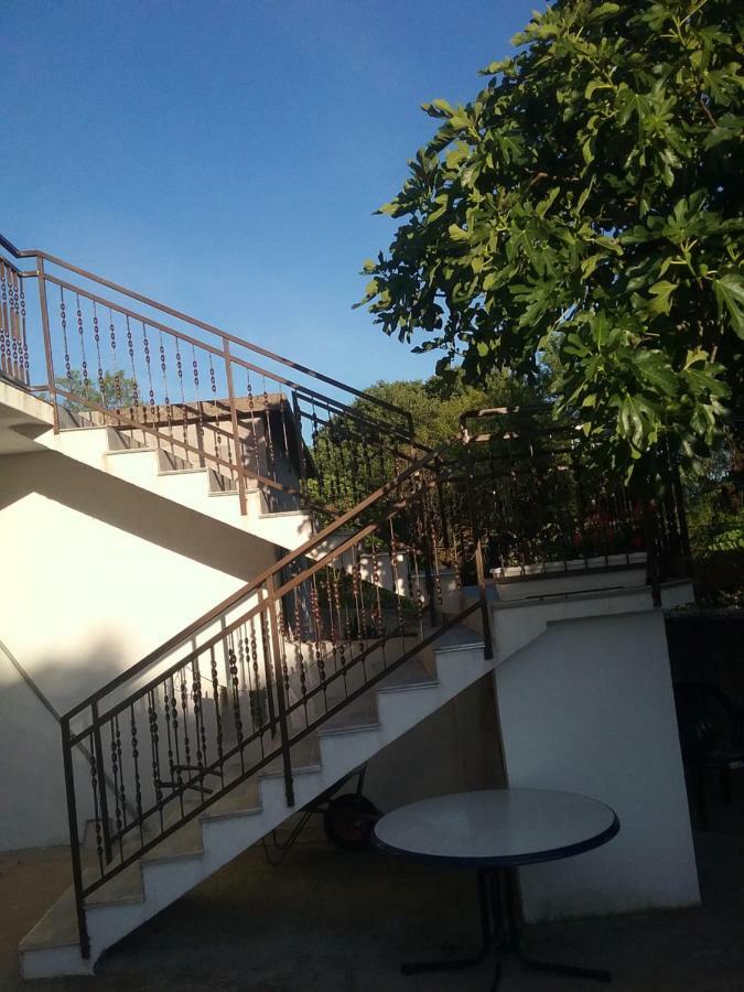Appartement Milda+M à Skradin Extérieur photo